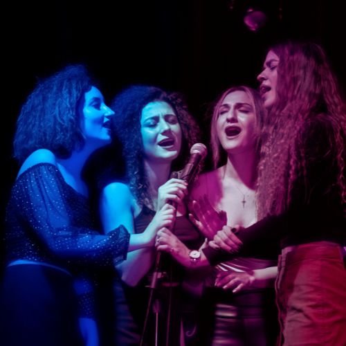 Wedding Karaoke Service in Hawaii