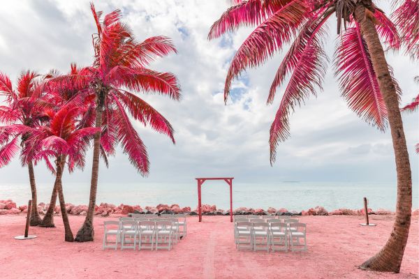 Weather proof Dj Wedding Hawaii